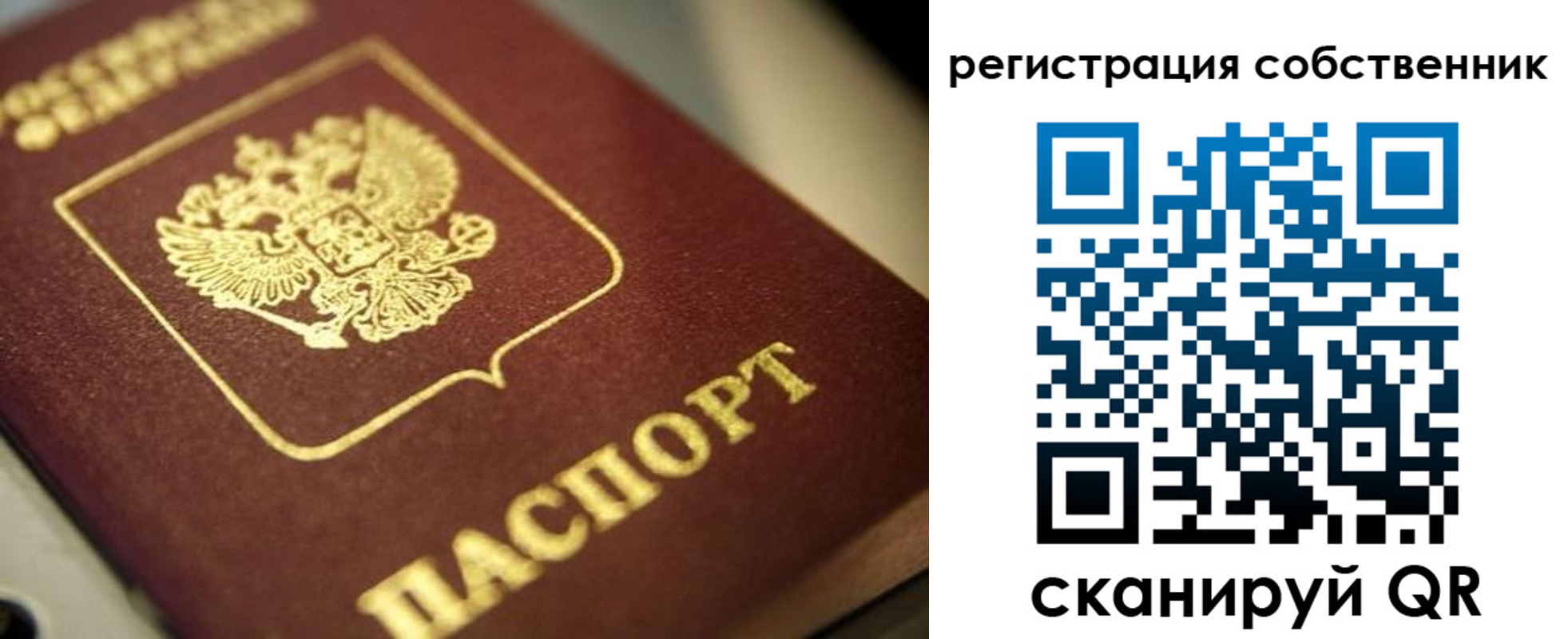 прописка в Новоузенске